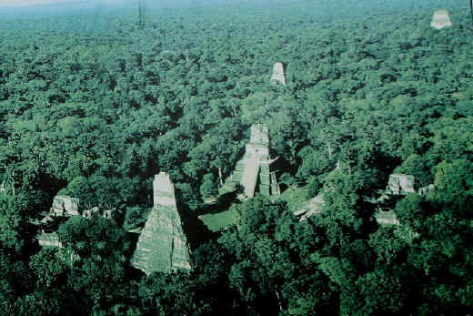 tikal1-00.jpg (106650 oCg)